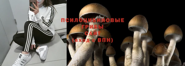 COCAINE Алексеевка