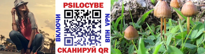 Галлюциногенные грибы MAGIC MUSHROOMS  Нолинск 